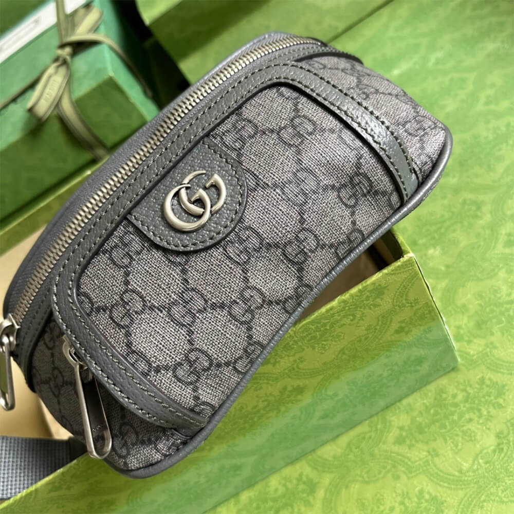 Gucci Ophidia Belt Bag - Image 5
