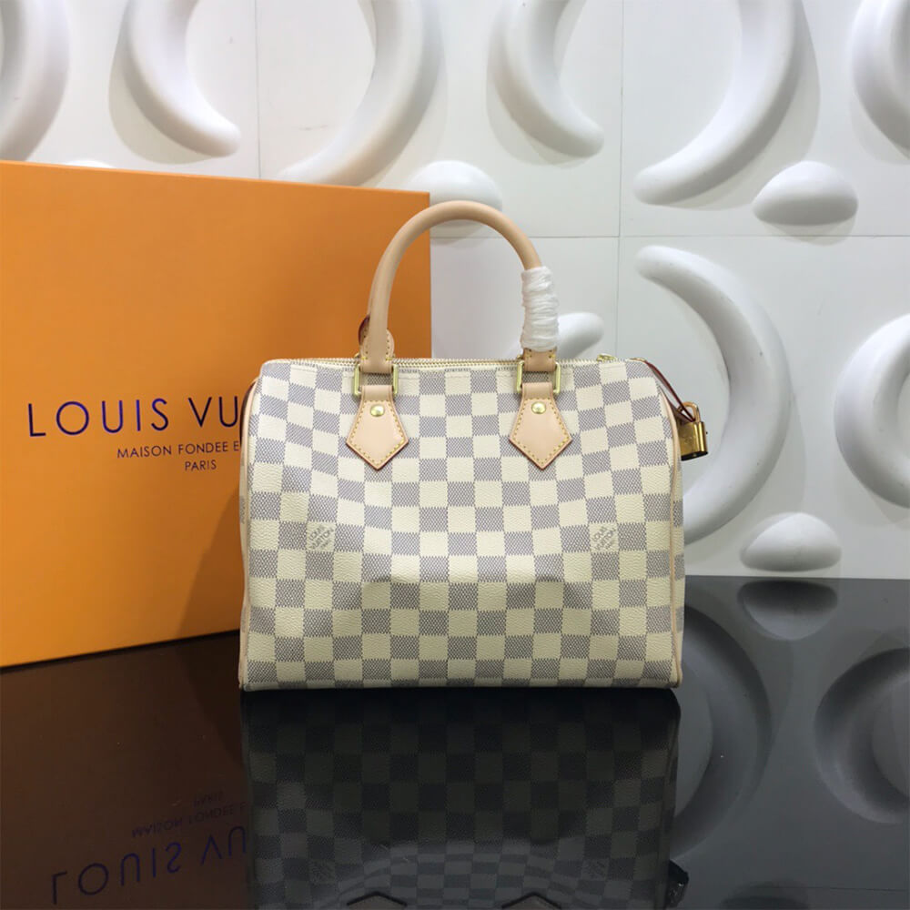 Louis Vuitton Speedy 25 Bag - Image 2