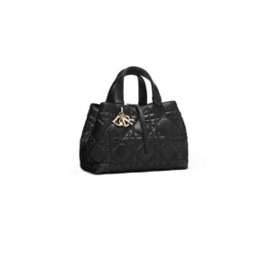 Dior Medium Toujours Bag
