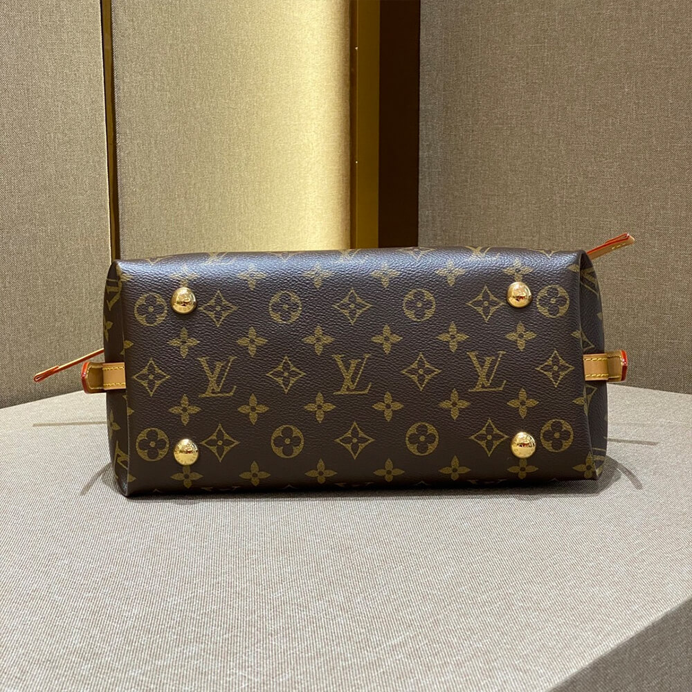 LOUIS VUITTON CARRYALL PM - Image 6