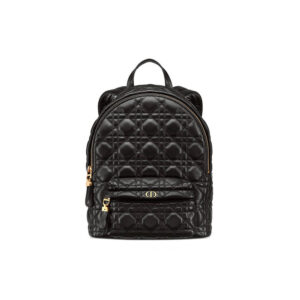 Dior Small Backpack