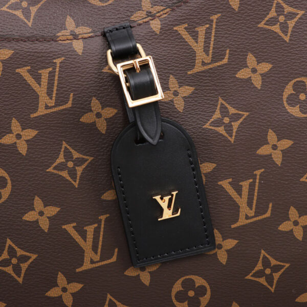 Louis Vuitton Odeon MM Bag - Image 8