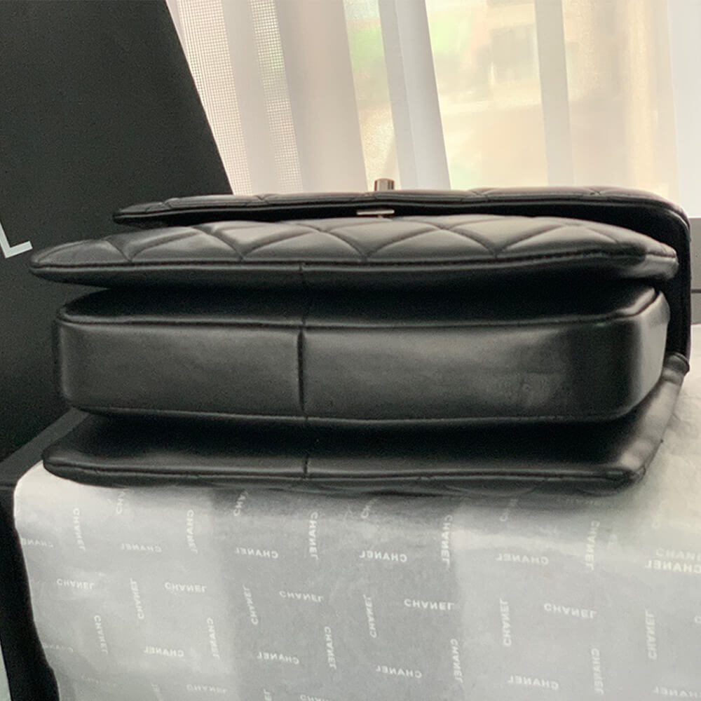 CHANEL FLAP BAG WITH TOP HANDLE - Image 6