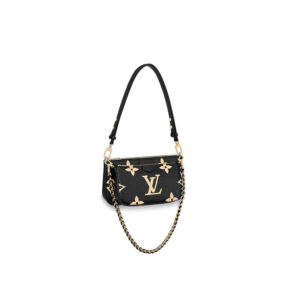 Louis Vuitton Muti Pochette Accessoires Bag