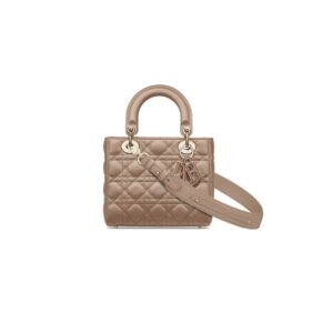 Dior Small Lady My ABC Bag