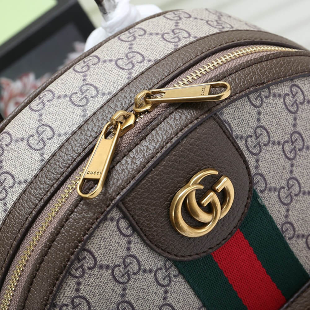 Gucci Serise Small Backpack - Image 6
