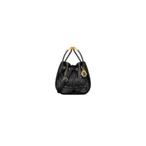 Dior Medium Nolita Bag