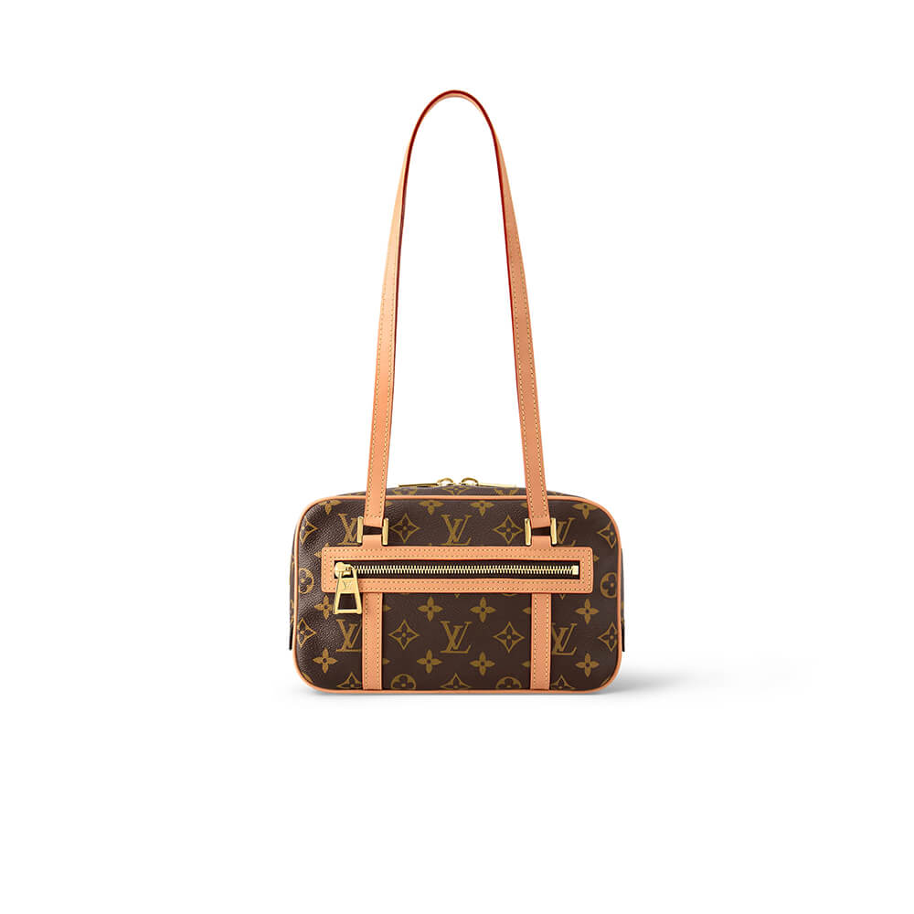 Louis Vuitton Cite Bag