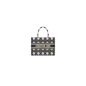 Dior Medium Book Tote Bag