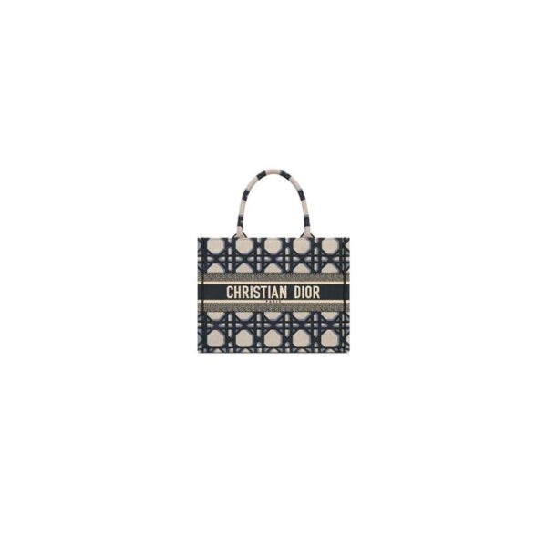 Dior Medium Book Tote Bag