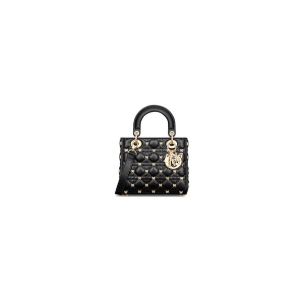 Dior Small Lady Bag