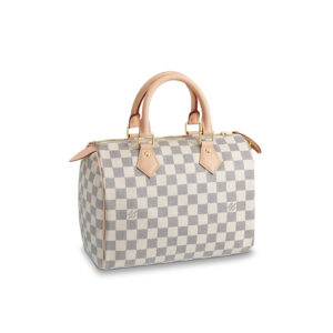 Louis Vuitton Speedy 25 Bag