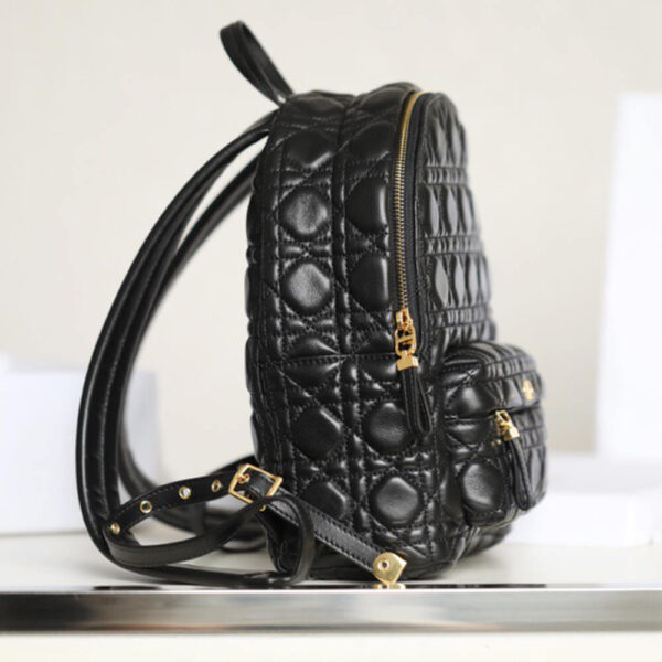 Dior Small Backpack - Image 4