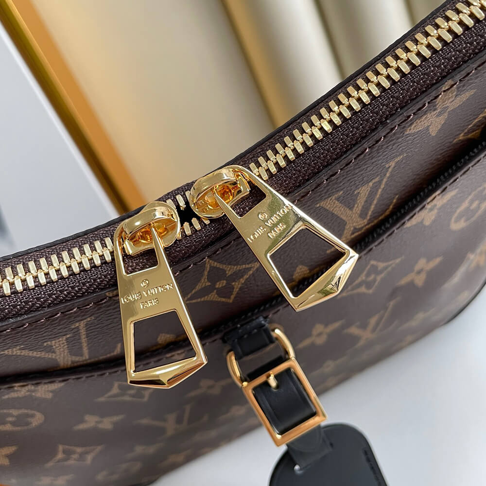 Louis Vuitton Odeon MM Bag - Image 5