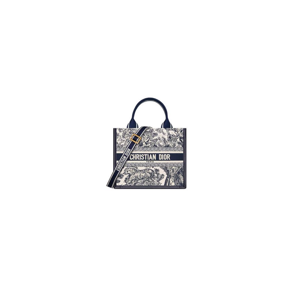 Dior Medium Book Tote Bag