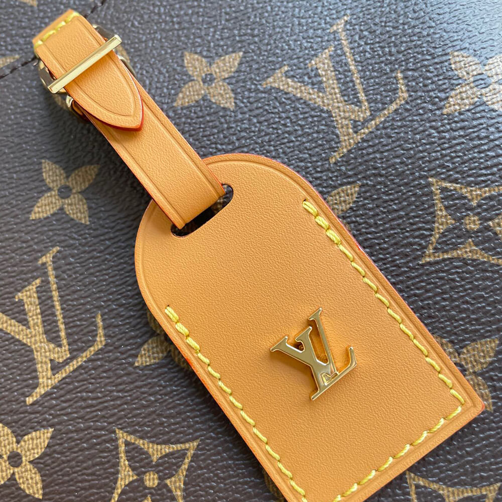 Louis Vuitton Odeon MM Bag - Image 5