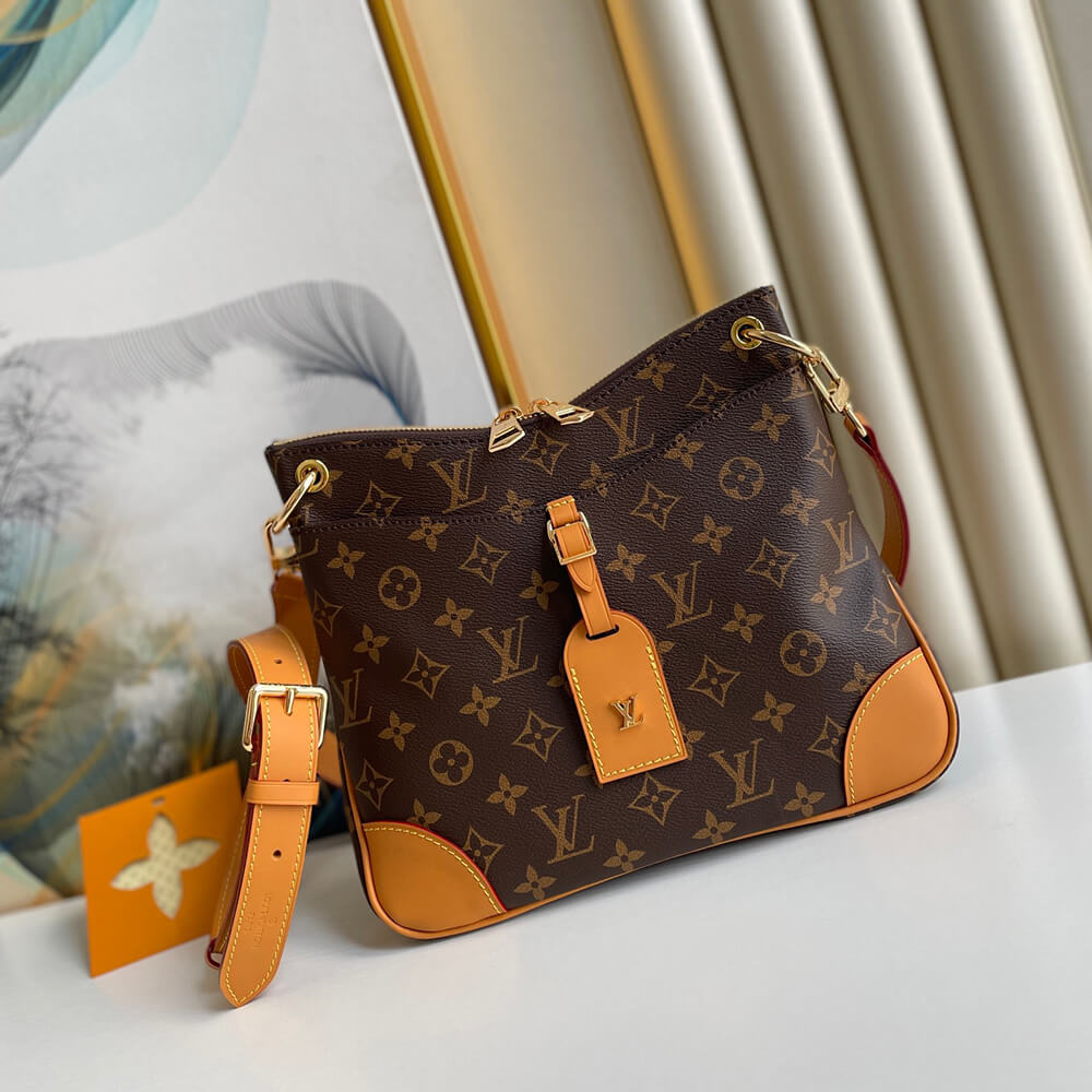 Louis Vuitton Odeon MM Bag - Image 2