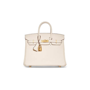 Hermes Birkin 25 Bag