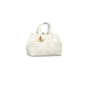 Dior Medium Toujours Bag