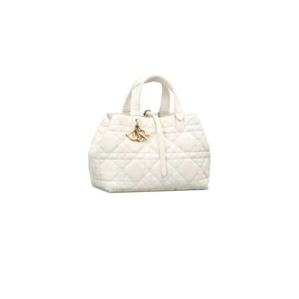 Dior Medium Toujours Bag