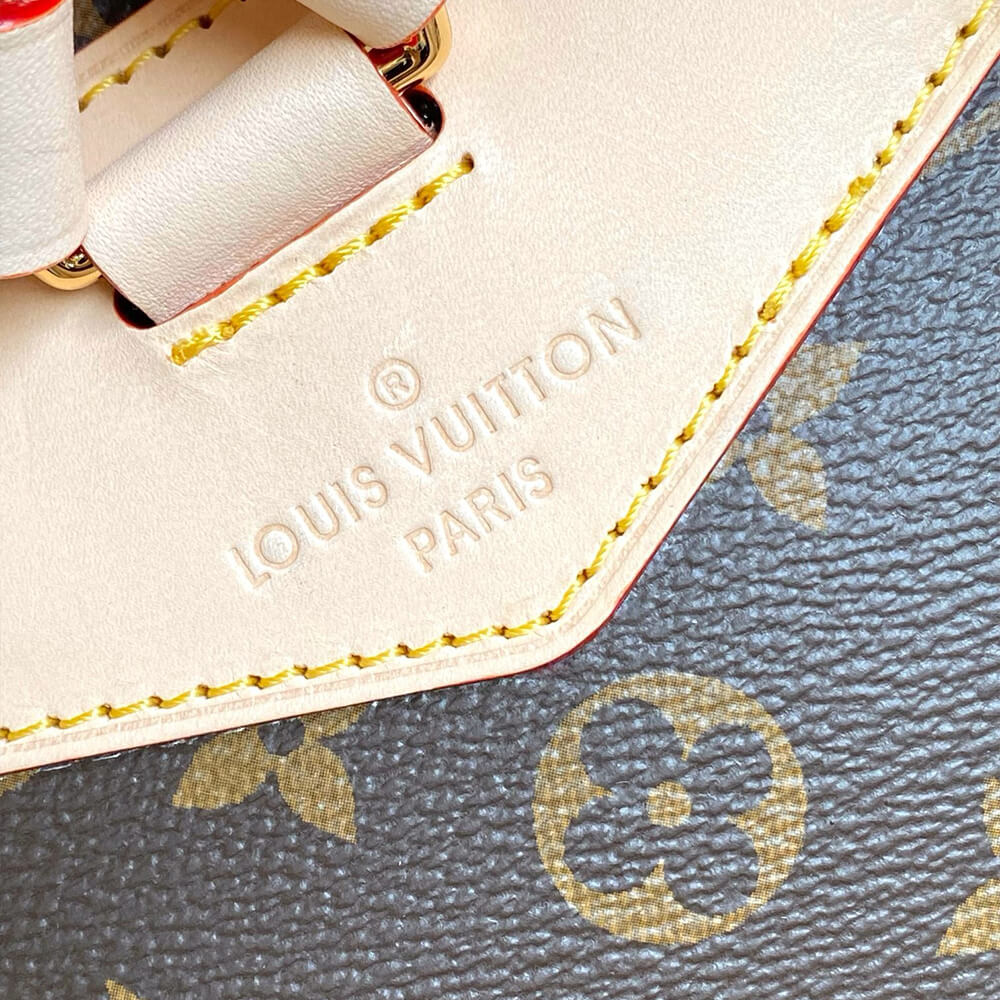 LOUIS VUITTON Montsouris MM - Image 8