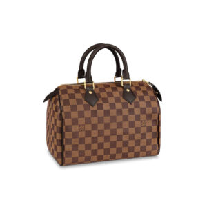 Louis Vuitton Speedy 25 Bag