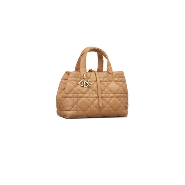 Dior Medium Toujours Bag