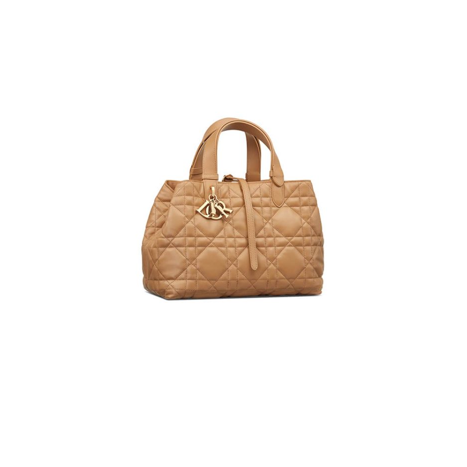 Dior Medium Toujours Bag